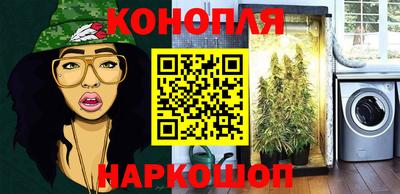 гашик Дубна