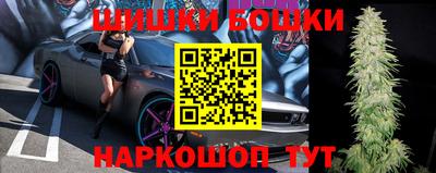 гашик Дубна