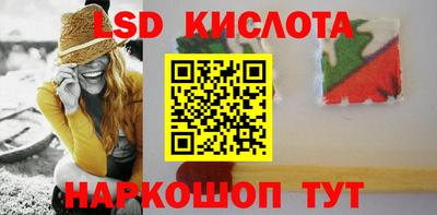гашик Дубна