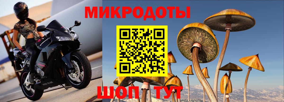 Псилоцибиновые грибы Cubensis Михайловка