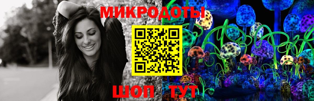 Псилоцибиновые грибы GOLDEN TEACHER  хочу   Вход с VPN  Михайловка  Псилоцибиновые грибы мухоморы 