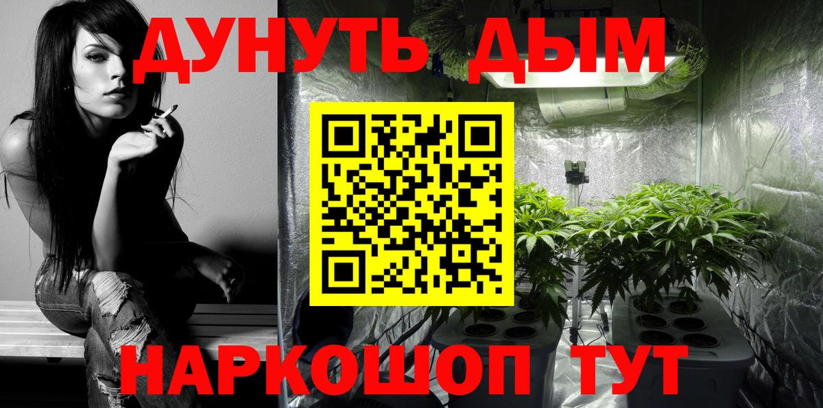 Канабис сатива Михайловка